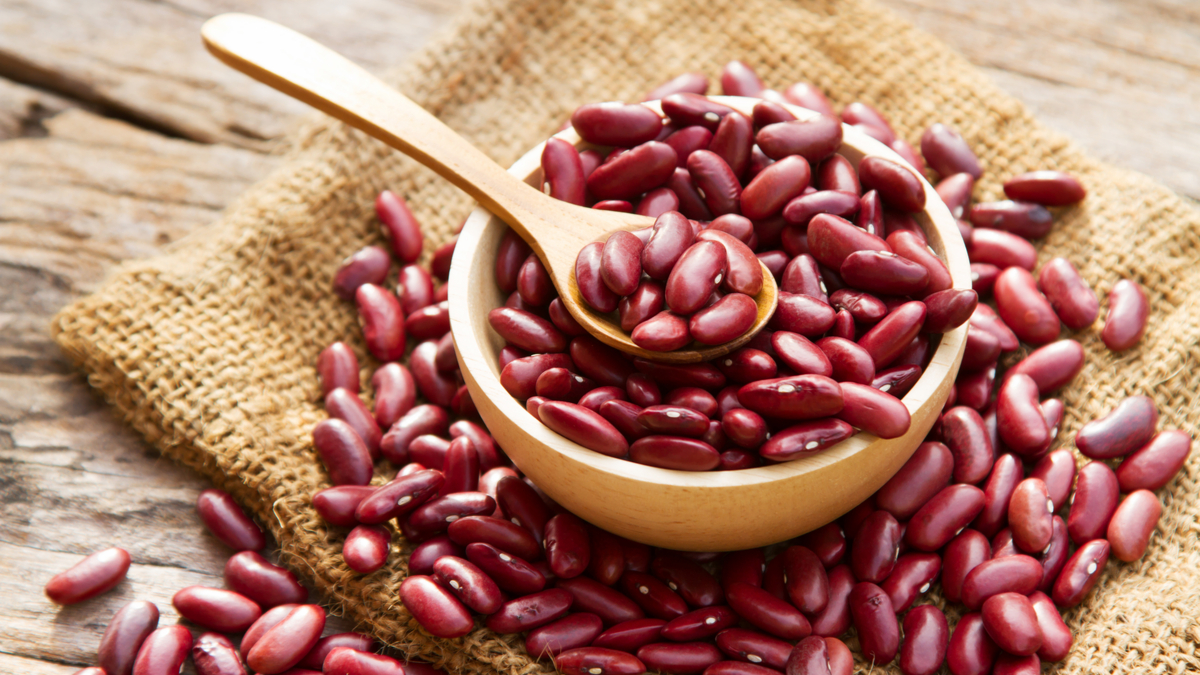 Haricot Red Kidney